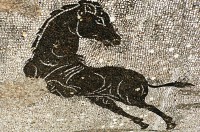 http://www.thierrytalbot.com/files/gimgs/th-8_Cheval 1.jpg